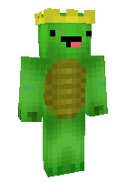 Скин по нику turtleboy2