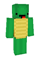 Скин по нику turtleboy69