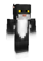 Скин по нику unicornmagicswag