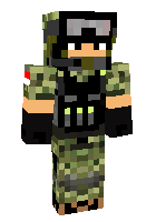 Скин по нику usarmy