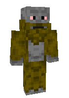 Скин по нику vFizzy