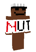 Скин по нику vll_xx
