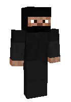 Скин по нику void420
