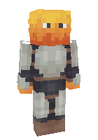 Скин по нику warriorblaze