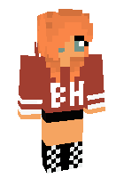 Скин по нику wildrunner774
