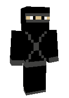 Скин по нику willboy11