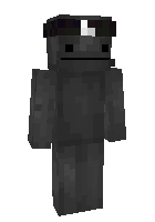 Скин по нику windrof123