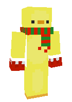 Скин по нику winter_ducky