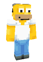 Скин по нику wisestewie
