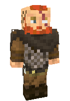 Скин по нику wwarrior