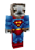 Скин по нику xGamerHero