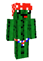 Скин по нику xPatrick