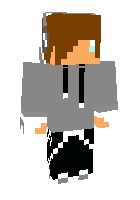Скин по нику xXLogan