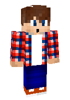 Скин по нику xdesignz