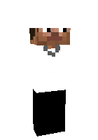 Скин по нику younicelegit