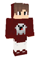Скин по нику ypixelZ