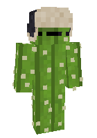 Скин по нику zamer