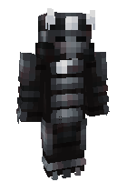 Скин по нику zeblackingg