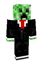 Скин по нику zerrix