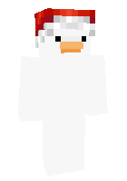 Скин по нику zicur_vv