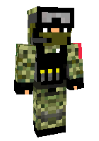 Скин по нику ziga_00