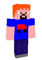 Скин по нику zombiebomber206