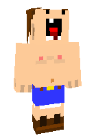 Скин по нику zzirPanda13