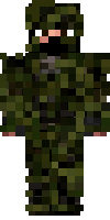 Скин по нику 66200