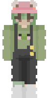 Скин по нику 69Frog