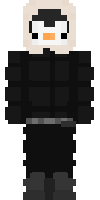 Скин по нику 8Bit_