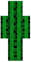 Скин по нику 8x8johan