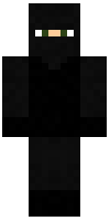Скин по нику Agent_tes1