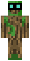 Скин по нику Agrro