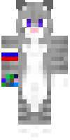 Скин по нику AktemSom