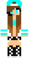 Скин по нику Alinacraft