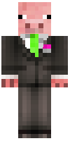 Скин по нику Alpaca47