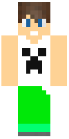 Скин по нику Alplay