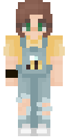 Скин по нику Amynamy