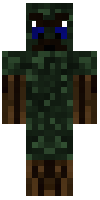 Скин по нику AngryForest