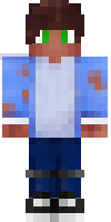 Скин по нику Animat_YT