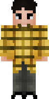 Скин по нику Anko_Creations