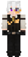 Скин по нику Archmage__