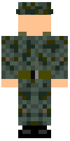 Скин по нику Army13