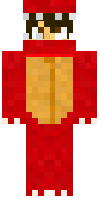 Скин по нику Ashes