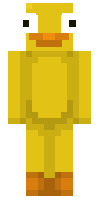 Скин по нику Astrollyn
