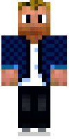 Скин по нику Axelerator