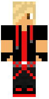 Скин по нику BADRGAMER