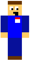 Скин по нику BRICKLAYER