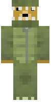 Скин по нику Bearnye
