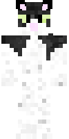 Скин по нику BlackChaosNL